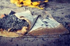 Igrejas são incendiadas em ataque no Níger, mas Bíblia sobrevive