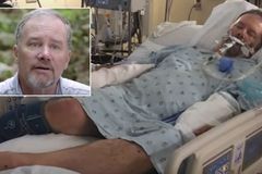 Homem sobrevive a picada de cobra venenosa após corrente de oração