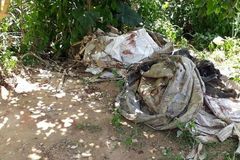 Sobrevivente de chacina na Bahia ouviu a Deus enquanto fugia: \"Dobrei o meu joelho\"