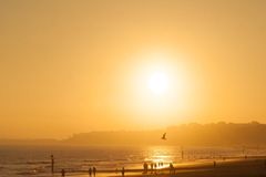 Como as ondas de calor afetam a saúde