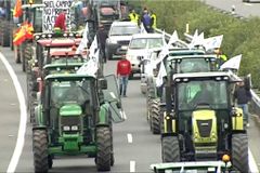 Sem agricultores não há comida: protestos tomam conta da Europa