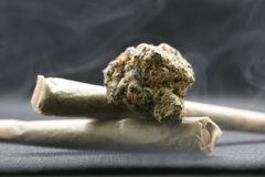 Alemanha legaliza consumo de maconha e médicos expressam preocupações