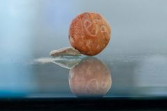 Arqueólogos encontram pedra milenar usada pelos hebreus no Primeiro Templo