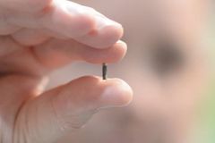 A única forma de se proteger da marca da besta é carregar a marca de Deus, diz pastor