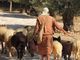 O dever pastoral