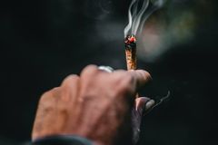 África do Sul é o 1º país do continente africano a legalizar maconha para uso pessoal