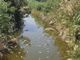 Ciência tenta explicar o milagre da multiplicação dos peixes