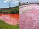 Rios ficam em cor de sangue na Argentina e Peru e lembram praga bíblica