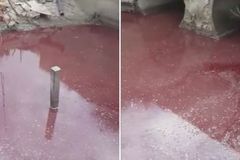 Riacho em Israel fica vermelho ‘cor de sangue’ e remete à praga bíblica