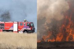 Família recebe livramento de incêndio florestal após cristãos orarem: \"O vento mudou\"