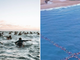 Surfistas formam cruz humana no mar da Austrália: \"Ele ressuscitou!\"