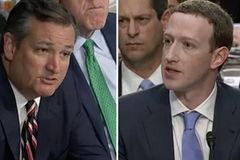 Senador cristão confronta Facebook por fazer censura política aos conservadores