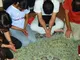 Mesmo sob ditadura e guerra, Irã tem a igreja que mais cresce no mundo