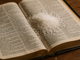 O valor espiritual do sal, elemento citado por Jesus