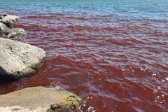 Cenário de milagres de Jesus, Mar da Galileia amanheceu tingido de vermelho