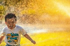 Hormônios da felicidade!
