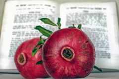Com simbolismos proféticos, Rosh Hashaná celebra dia em que Deus criou Adão e Eva