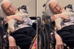 Idosa de 90 anos diagnosticada com demência lembra da Bíblia: \"Jesus é o Filho de Deus\"