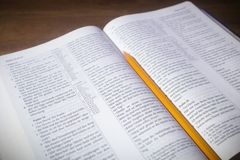 Câmara de Salvador aprova uso da Bíblia como material de apoio em escolas