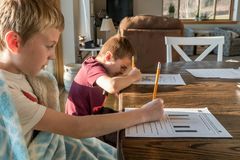 Unesco reconhece homeschooling como um direito das famílias