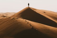 Autoconhecimento e o Sistema Reticular Ativador Ascendente – Parte 1