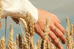 Seja fiel no deserto e veja seu milagre florescer