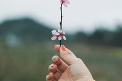 Reacendendo o propósito