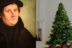 Árvore de Natal foi criada por Lutero na Alemanha? Estudiosos respondem