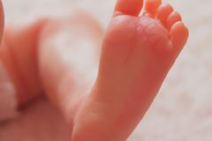 Aborto foi a principal causa de morte no mundo em 2025, com 73 milhões de casos