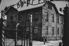 1 em cada 5 brasileiros nunca ouviu falar do Holocausto, aponta pesquisa