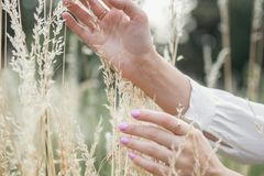 Um coração submisso é o berço para o milagre de Deus