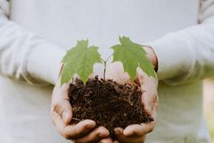 Pastor ensina por que a primícia é tão importante para Deus: “É um teste do coração”