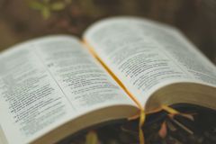 O Senhor guerreia nossas guerras