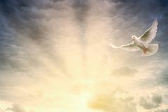 Entre o medo e a esperança: O poder do Espírito Santo na escatologia