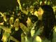 Jovens se entregam a Jesus em conferência sobre discipulado na Espanha