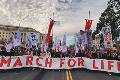 Grupos pró-vida pedem oração às igrejas diante da expansão do aborto na Holanda