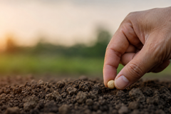 O peso da semente: O legado que você está plantando hoje é maior do que você imagina