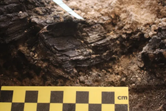 Vigas carbonizadas do Primeiro Templo são descobertas em Jerusalém após 2.600 anos