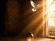 A luz de Deus revela o que precisa mudar
