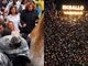 Milhares de pessoas buscam a Deus às 5h na Avenida Paulista: “Sedentos por Jesus”