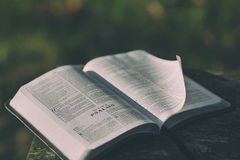 Hundreds of Thousands of Students to Take Part in 'Bring Your Bible to School Day'