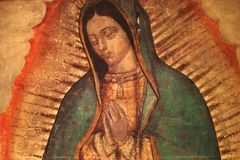 Mary can renew the family and the parish, new USCCB evangelization chair says