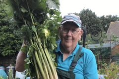 Thank Goodness for Gerald Stratford, One of the Last Good Things on Twitter