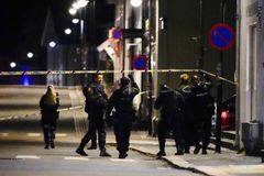 Norway Officials: Deadly Bow-and-Arrow Attack Appears Act of Terror by Muslim Convert