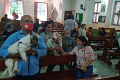 Priest says pets provided ’emotional support’ during COVID-19 pandemic | Crux Now
