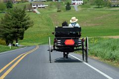 Amish survived COVID-19 better than most by not locking down, ceasing church gatherings: report
