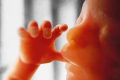 Forced Abortion in America: DC Police Officers the Latest to Reveal They Were Ordered to Abort Their Babies