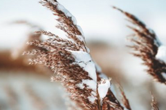 Screen Shot 2021-10-30 at 1.04.51 PM