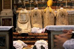 FSSP says it is ‘deeply saddened’ by Pope Francis' Latin Mass restrictions