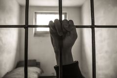 'Over 340 Million Persecuted': Believers Set to Mark International Day of Prayer for Oppressed Christians